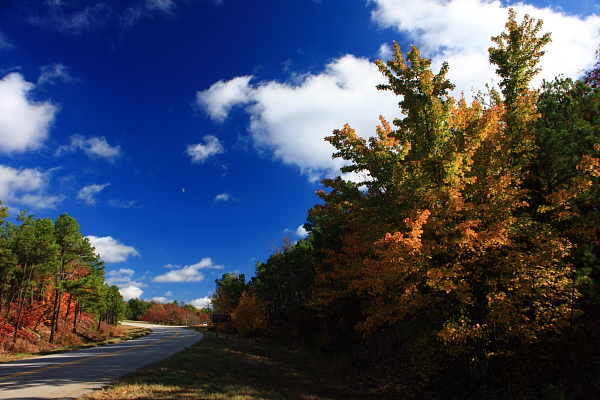 Talimena Drive