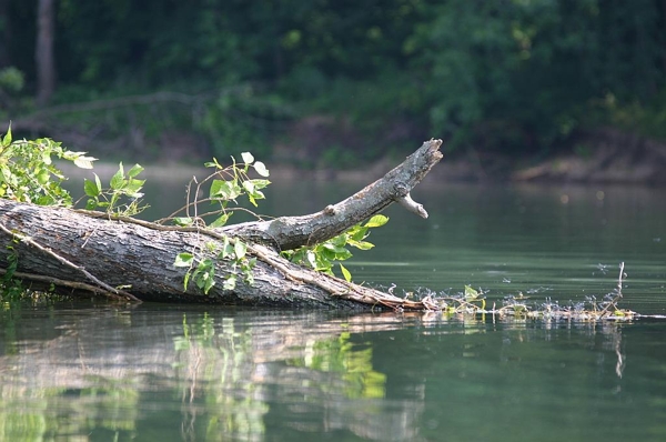 photo submitted by john tunnell from oklahoma city ok on september 30 ...