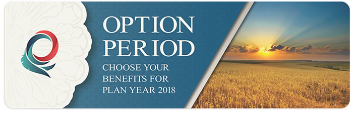 2018 Option Period Banner